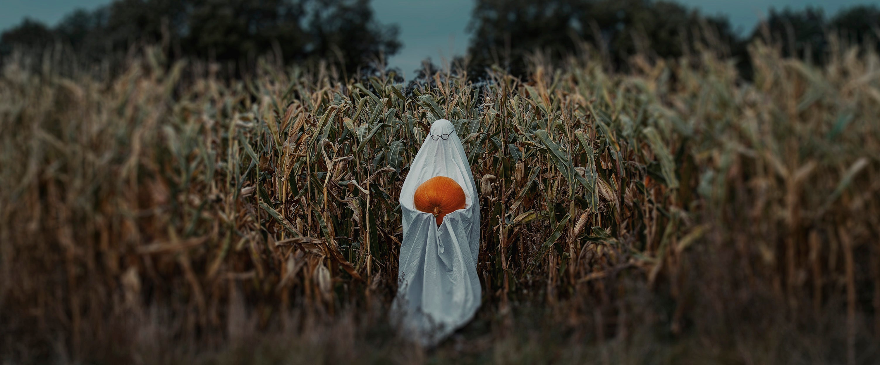 Graphic Tees & Horror Tops